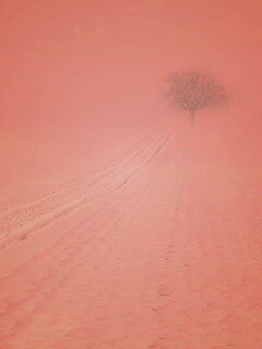 Заснеженное поле обои