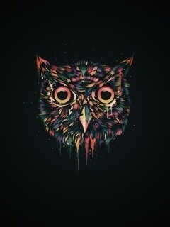 Векторная совиная голова обои