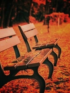 Лавочки в осеннем парке обои