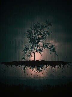 Когда деревья летают обои