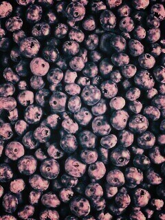 Черника обои