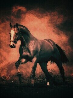 Лошадь обои