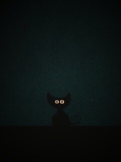 Чёрный кот в ночи обои