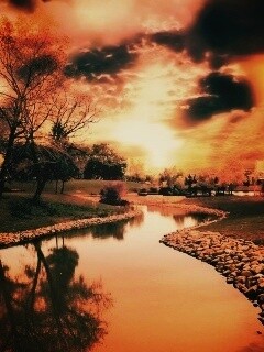 Осенний день в парке обои