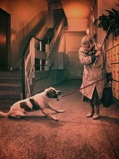 Непослушная собака обои