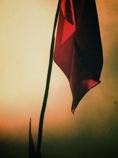 Красный флаг обои