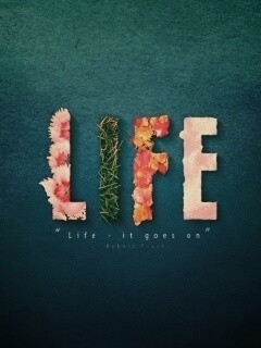 Жизнь, она продолжается... обои