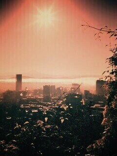 Утро в раю обои