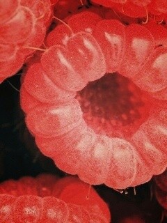 Малина обои