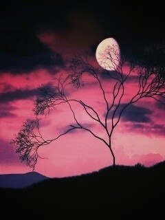 Фиолетовые небеса обои