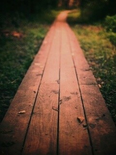 Деревянная тропинка обои