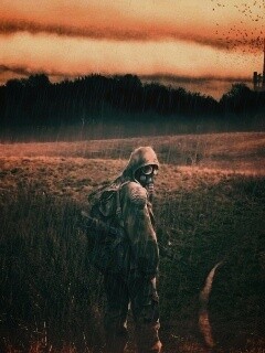 Сталкер под дождем обои