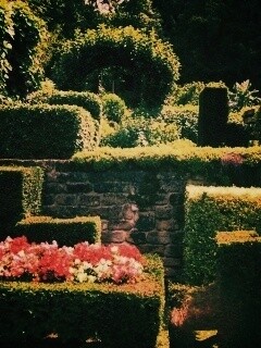 Декоративный сад обои