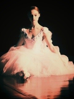 Черный лебедь обои