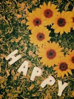 Радость обои