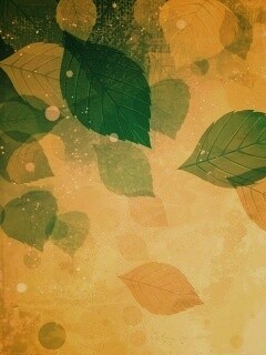 Прозрачные листья обои