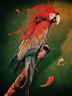 Попугай на ветке обои