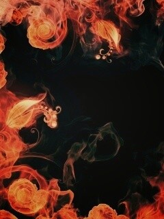 Огненные цветы обои
