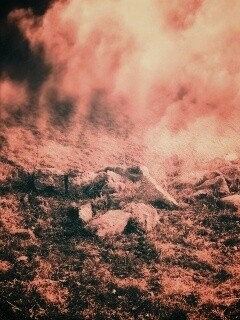 Камни под туманом обои