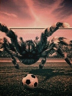 Вратарь обои