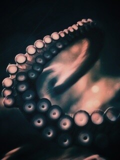 Щупальце обои