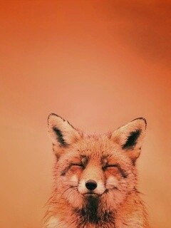 ^_^ Fox обои