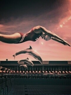 Соревнование обои