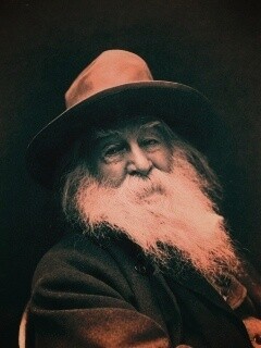 Уолт Уитмен обои