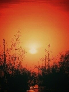 Доисторическое утро обои