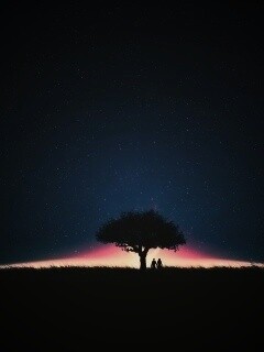 Звёздная ночь обои