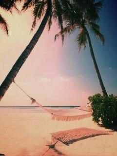 Тропический рай обои