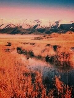 Болото и снежные горы обои