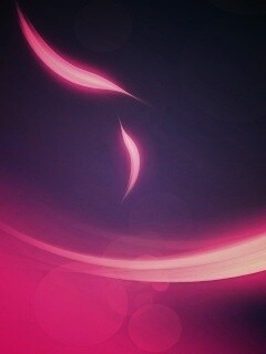 Лепестки света обои