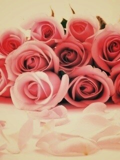 Букет роз обои