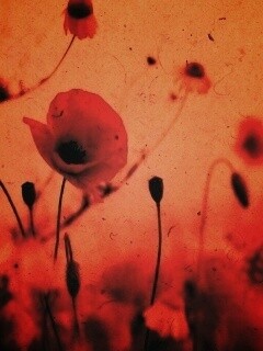 Кровавые цветы в стиле ретро обои