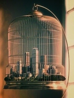 Город в клетке обои