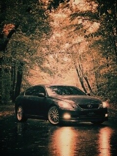 Лексус на лесной дороге обои