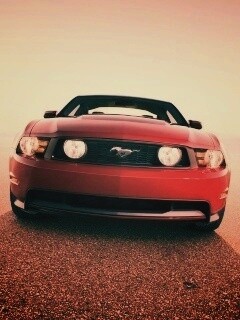 Форд Мустанг обои