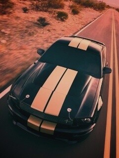 Ford Mustang  с гоночными полосками обои