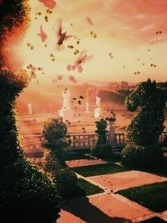 Шахматный сад обои