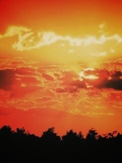 Ярко-оранжевое закатное небо обои