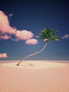 Идеальный пальмовый остров обои