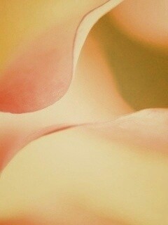 Оттенки природы обои