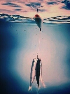 На крючке обои