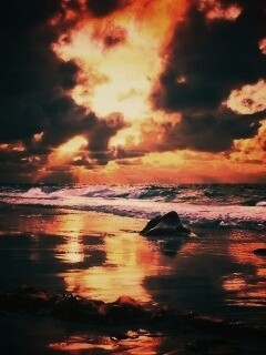 Океанский берег на закате обои