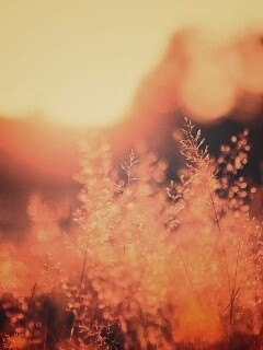 Посмотри на этот мир обои