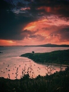 Waiheke Island, New Zealand обои