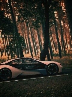 Спорткар BMW на лесной дороге обои