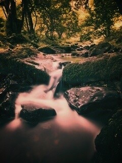 Речной поток в лесу обои