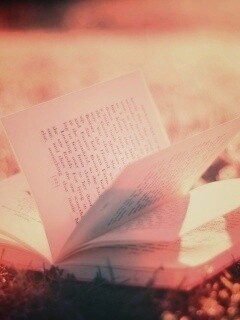 Книга в нежном свете обои